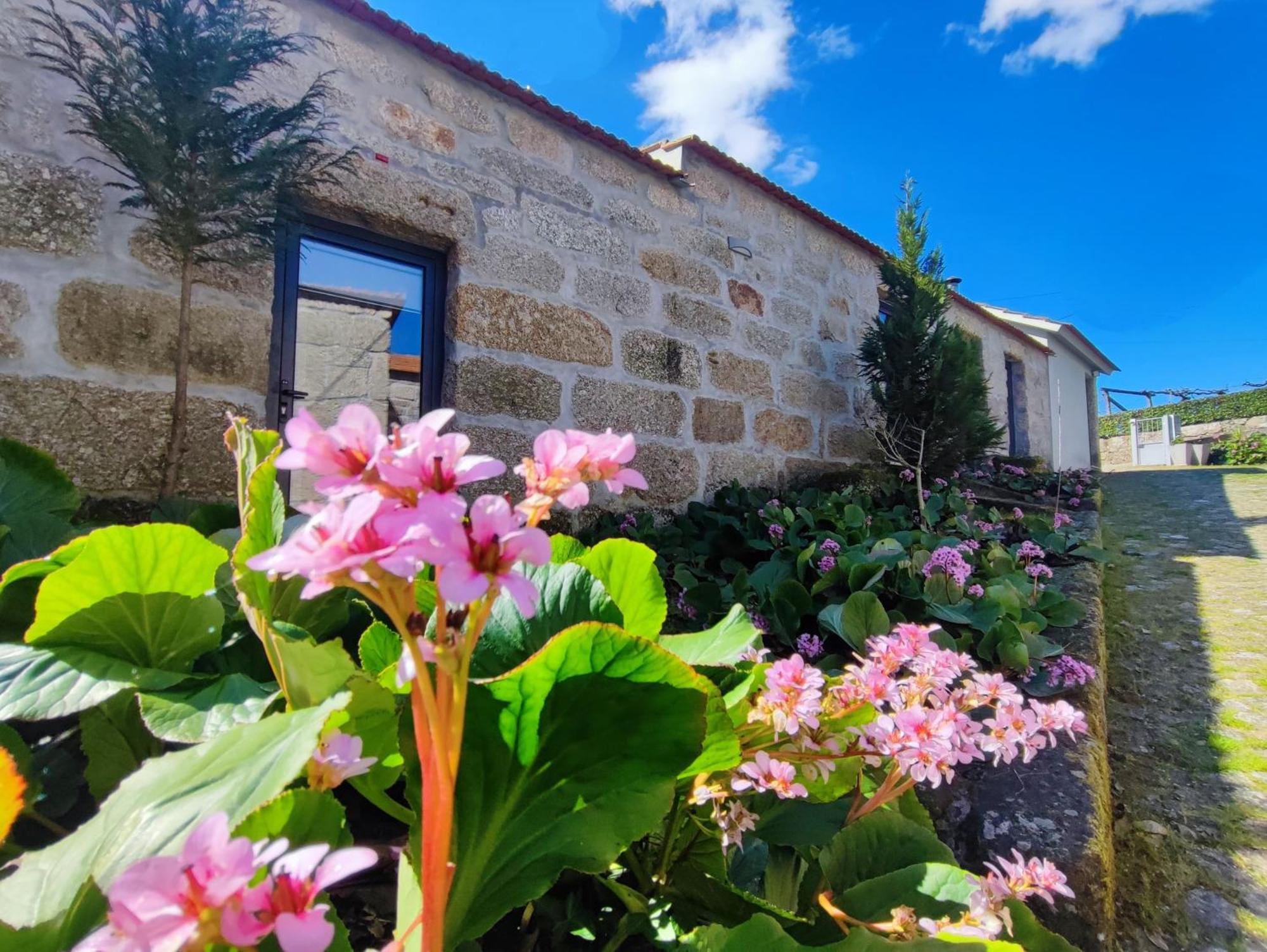 Agroturismo Quinta De Travancela أمارانتي المظهر الخارجي الصورة