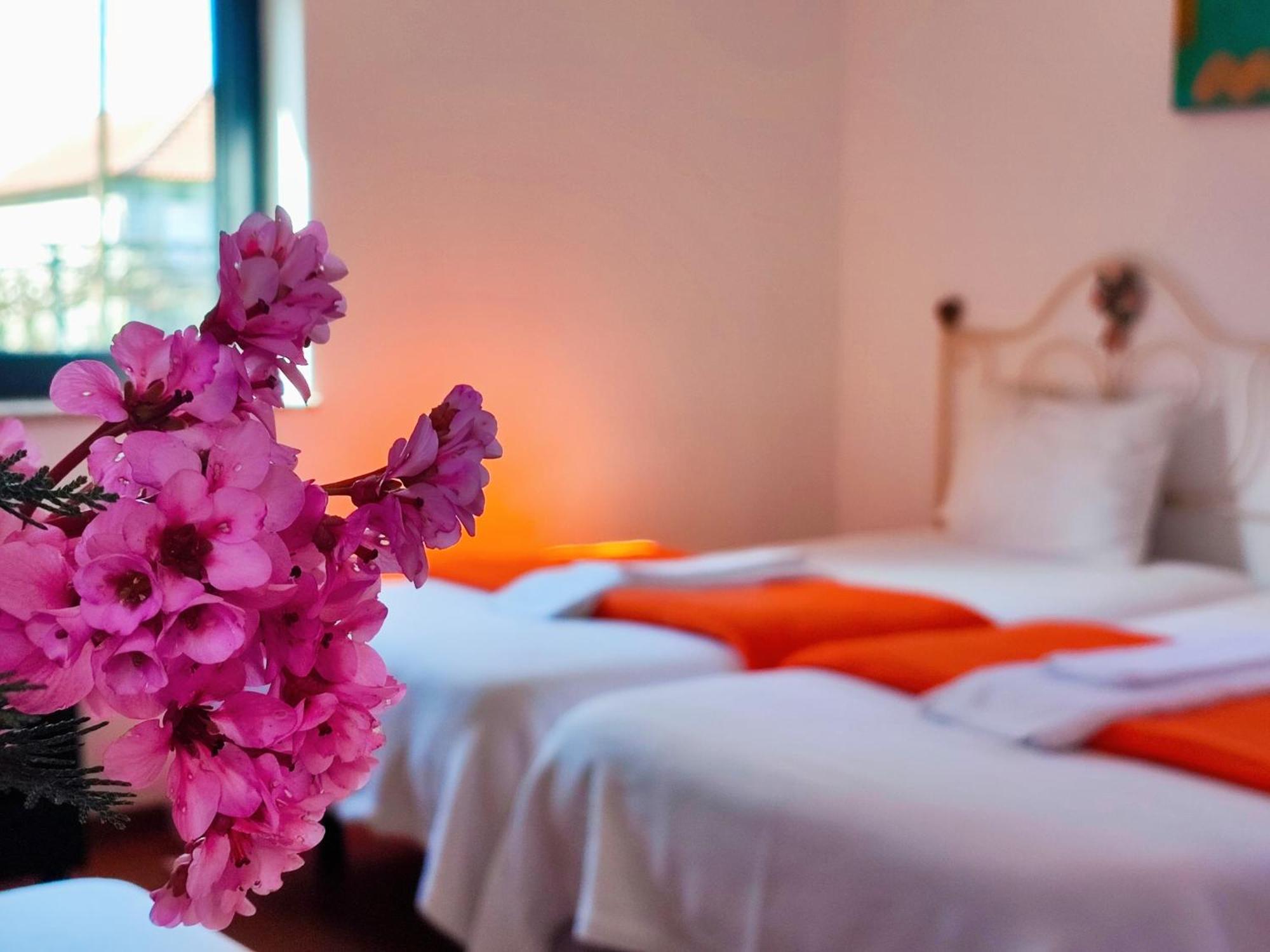 Agroturismo Quinta De Travancela أمارانتي المظهر الخارجي الصورة