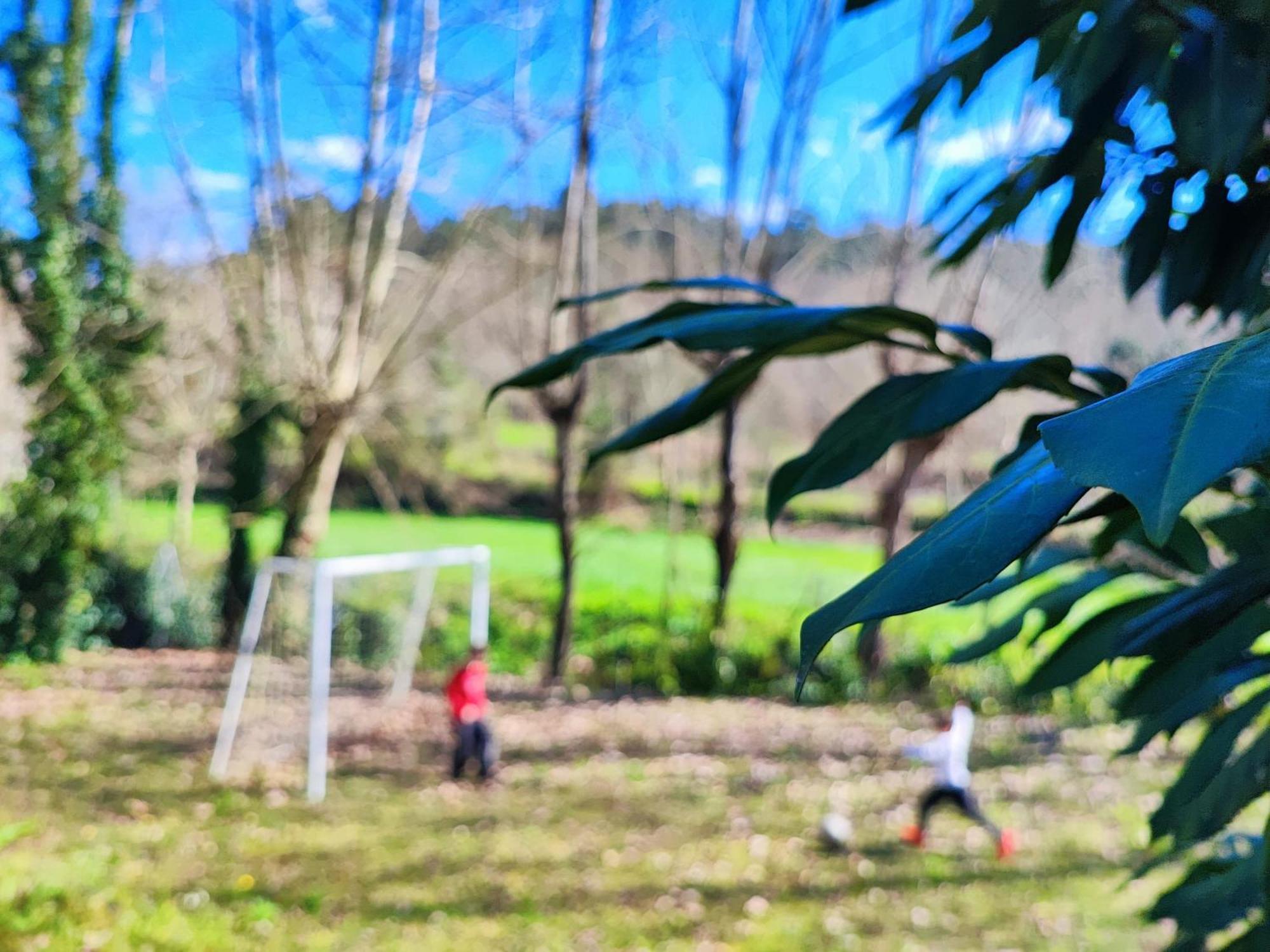 Agroturismo Quinta De Travancela أمارانتي المظهر الخارجي الصورة