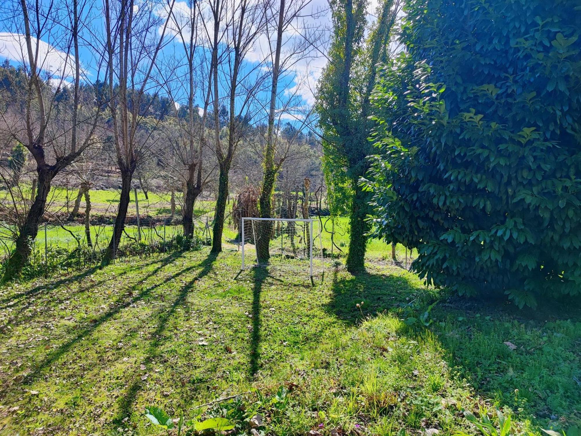 Agroturismo Quinta De Travancela أمارانتي المظهر الخارجي الصورة