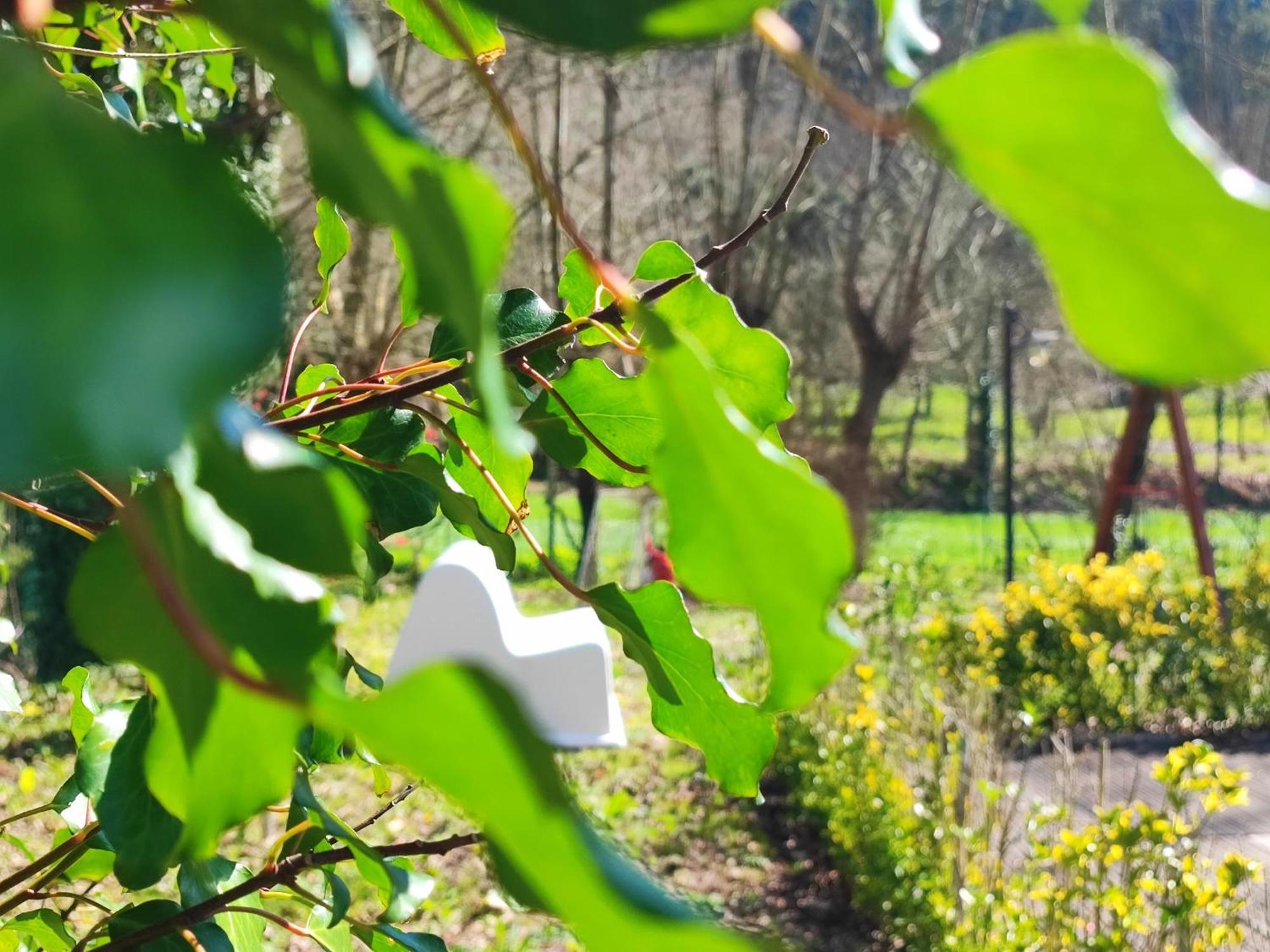 Agroturismo Quinta De Travancela أمارانتي المظهر الخارجي الصورة