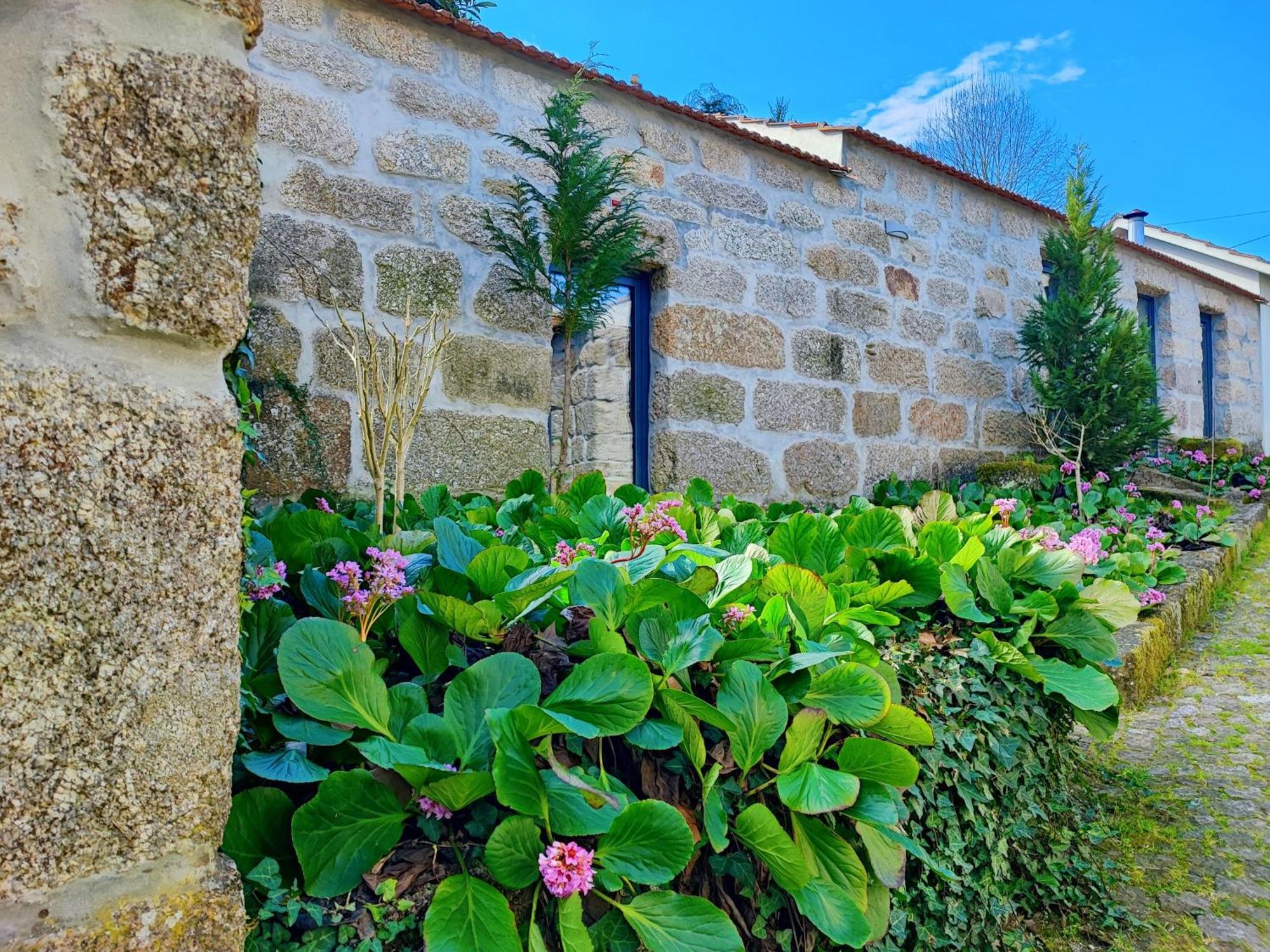 Agroturismo Quinta De Travancela أمارانتي المظهر الخارجي الصورة